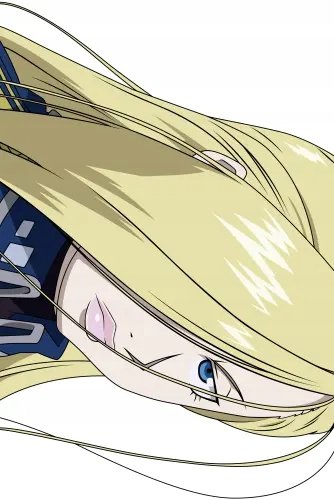 Plakat Fullmetal Alchemist fma_058 A1+ (custom)