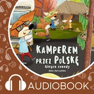 Audiobooki dla dzieci i młodzieży - Pamiętniki Fenka. Kamperem przez Polskę. Ginące zawody. Część 6 Anna Jurczyńska - miniaturka - grafika 1