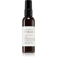 Serum do twarzy - Ziaja ZIAJA BALTIC HOME SPA WELLNESS SERUM DO TWARZY 90ML - miniaturka - grafika 1