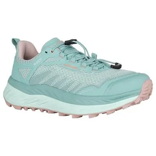 Buty trekkingowe damskie Lowa Fortux Gtx - Buty trekkingowe damskie - miniaturka - grafika 1