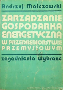 Zarządzanie gospodarką energetyczną w przedsiębiorstwie przemysłowym - Technika - miniaturka - grafika 1