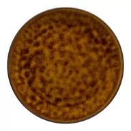 Talerze - Costa Nova Talerz płytki Roda Mel 28 cm - miniaturka - grafika 1