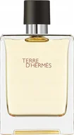 Wody i perfumy męskie - Hermes Terre D'hermes Eau De Toilette Purškiklis 100ml - miniaturka - grafika 1