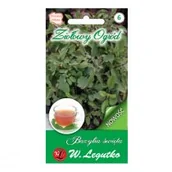 Nasiona i cebule - BAZYLIA ŚWIĘTA wieloletnia NASIONA ZIÓŁ - miniaturka - grafika 1