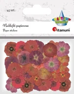 Szkolne artykuły papiernicze - Naklejki papierowe Kwiaty mix 45szt - Titanum - miniaturka - grafika 1