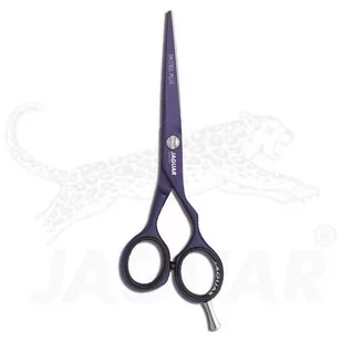 Jaguar Nożyce do cięcia  Pastell Plus Offset Viola 5.5 cala/14 cm, 1er Pack (1 X 1 sztuki) 4752-1 - Kosmetyki do stylizacji włosów - miniaturka - grafika 1