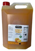 Syropy i koncentraty owocowe - Granita Pomarańcza syrop - Vermion Deluxe Food Slush Orange 5kg - miniaturka - grafika 1