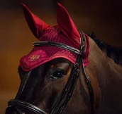 Akcesoria jeździeckie - B//Vertigo Nauszniki ALASKA - miniaturka - grafika 1