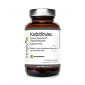 Suplementy naturalne - Kadzidłowiec Casperome 60 kaps (Kenay) - miniaturka - grafika 1