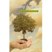 Religia i religioznawstwo - Przebudzenie - miniaturka - grafika 1