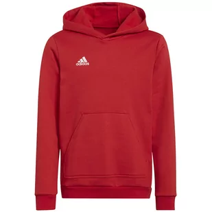 Adidas, Bluza ENTRADA 22 Hoody Y H57566, 164 - Bluzy sportowe męskie - miniaturka - grafika 1