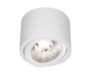 Arcos lampa sufitowa tuba kierunkowa biała - Lampy sufitowe - miniaturka - grafika 1