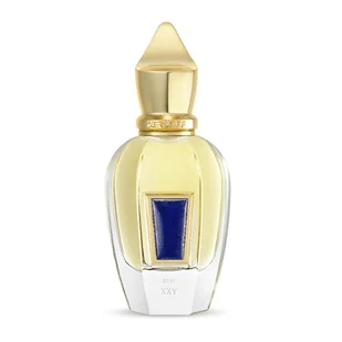 Xerjoff 17/17 XXY perfumy 100 ml - Wody i perfumy męskie - miniaturka - grafika 1