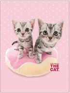 Koce i narzuty dla dzieci - Detexpol, Koc z mikrofibry, Disney, The Cat, 75x100 cm - miniaturka - grafika 1