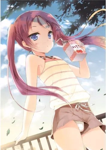 Plakat Anime Manga Your Diary yd_013 A2 (custom)