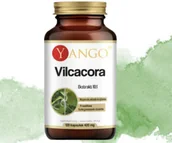 Suplementy naturalne - VILCACORA (koci pazur) ekstrakt w kapsułkach YANGO 120 sztuk - miniaturka - grafika 1