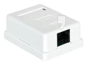 ALANTEC Gniazdo natynkowe UTP kat 5e 1xRJ45 zint (GN001) - Pozostałe akcesoria sieciowe - miniaturka - grafika 1