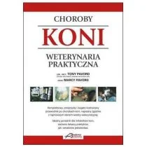 Choroby koni - Rozwój osobisty - miniaturka - grafika 1