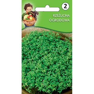 Rzeżucha ogrodowa - Nasiona i cebule - miniaturka - grafika 1