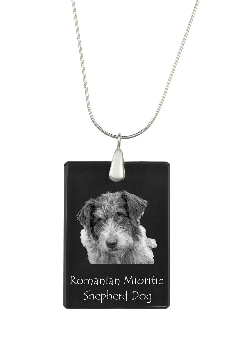 Romanian Mioritic Shepherd Dog - kryształowa zawieszka z psem, srebrny naszyjnik ze zdjęciem, personalizowany wisiorek marki Art-Dog