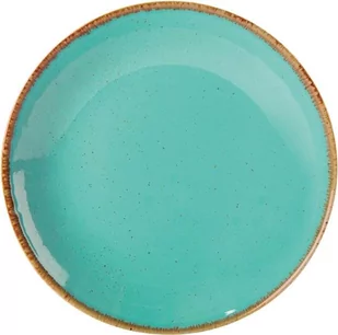 Fine Dine Talerz płytki 240 mm Laguna porcelana 04ALM001653 - Wyposażenie lokali gastronomicznych - miniaturka - grafika 1