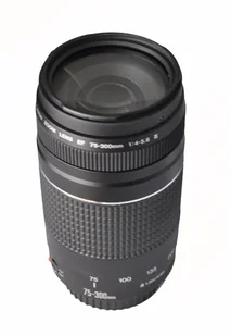 Canon EOS 2000D +18-55 DC III + 75-300 DC III - Aparaty Cyfrowe - miniaturka - grafika 8