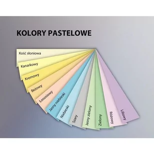 Emerson PAPIER KSERO KOLOR KOŚĆ SŁONIOWA 160G/M2 FORMAT A4 RYZA 250 ARKUSZY zakupy dla domu i biura XEM416093 - Papier do drukarek - miniaturka - grafika 1
