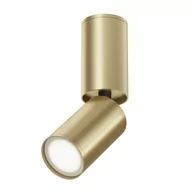 Lampy sufitowe - Złoty, regulowany spot natynkowy, downlight C051CL-01G z serii FOCUS S - miniaturka - grafika 1