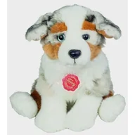 Maskotki i pluszaki - kolekcja Pluszowy pies owczarek australijski 22 cm - miniaturka - grafika 1