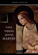 Religia i religioznawstwo - Cała piękna jesteś Maryjo - miniaturka - grafika 1