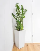 Donice - 24x24x63 cm (spód) + 32x32 cm (góra) CT - Donica betonowa (szara) - miniaturka - grafika 1