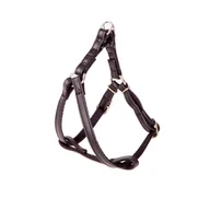 Szelki dla psów - Dingo Szelki Dla Psa Fred Basic Rozm. 50 Czarne - miniaturka - grafika 1