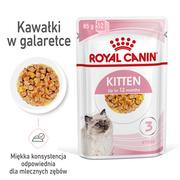 Mokra karma dla kotów - Royal Canin Kitten w galaretce Feline 12x85g saszetka 17082-uniw - miniaturka - grafika 1