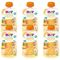 Hipp Smoothie Mus z owoców i soków po 1. roku jabłka-banany-mandarynki zestaw 6 x 120 ml Bio - Desery dla dzieci - miniaturka - grafika 1