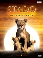 Filmy dokumentalne DVD - Stado - miniaturka - grafika 1