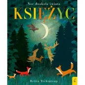 Książki edukacyjne - Księżyc - miniaturka - grafika 1
