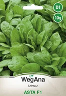 Nasiona i cebule - Szpinak Asta F1 10g nasiona - WegAna - miniaturka - grafika 1