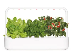 Blumfeldt Click & Grow Inteligentna Smart Garden 9 zestaw startowy 4742793008868 - Donice - miniaturka - grafika 1