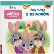 Powieści i opowiadania - Małe Wielkie Sprawy. Judy nocuje u dziadków - miniaturka - grafika 1