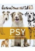 Poradniki hobbystyczne - Psy. Ilustrowany przewodnik - miniaturka - grafika 1