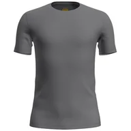 Koszulki sportowe męskie - Koszulka męska Icebreaker M Anatomica SS Crewe Rozmiar: XL / Kolor: szary - miniaturka - grafika 1
