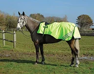 Akcesoria jeździeckie - Rhinegold Wodoodporny Cutaway Ride On Rug-Pony-Jasnożółty - miniaturka - grafika 1