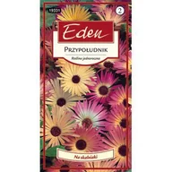 Nasiona i cebule - Przypołudnik mix 0,5 g Eden - miniaturka - grafika 1