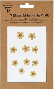 Clairefontaine Suszone Kwiaty Prasowane Żółte 10 sztuk - 195490C - Zabawki kreatywne - miniaturka - grafika 1