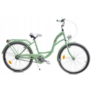 Rower Miejski dziecięcy Dallas Bike City Junior 24" 1spd - Rowery - miniaturka - grafika 1