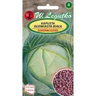Nasiona i cebule - Kapusta Głowiasta Biała Kamienna Głowa - Późna 2G /Nasiona Zaprawiane/ Legutko - miniaturka - grafika 1