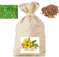 Nasiona i cebule - Mieszanka poplonowa 1kg - Agro Bracia - miniaturka - grafika 1