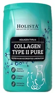Suplementy i witaminy dla psów - HOLISTA Collagen Type II PURE - Kolagen typu II dla psa i kota (proszek) - miniaturka - grafika 1
