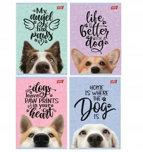 St. Majewski Zeszyt A5 Dog linia podwójna dwukolorowa, 70 g/m2 16 kartek - Zeszyty szkolne - miniaturka - grafika 1