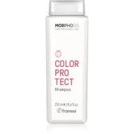 Szampony do włosów - Framesi Morphosis Color Protect szampon do włosów normalnych i cienkich chroniąca kolor 250 ml - miniaturka - grafika 1